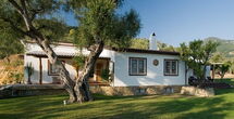VILLA OLIVETA