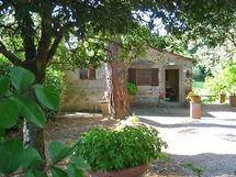 CASINA DI SALCOTTO CASINA DI SALCOTTO